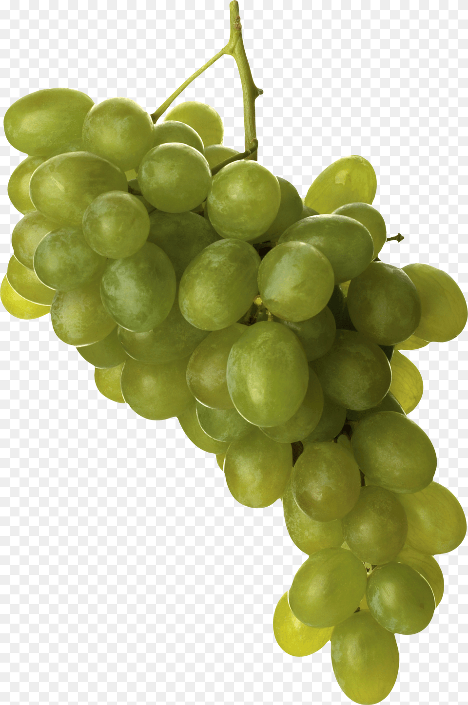 Grape, Food, Fruit, Grapes, Plant Free Png