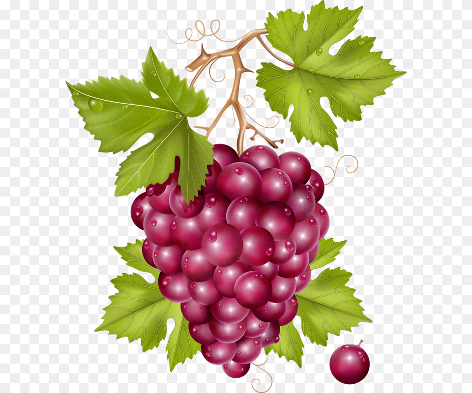 Grape, Food, Fruit, Grapes, Plant Free Png Download