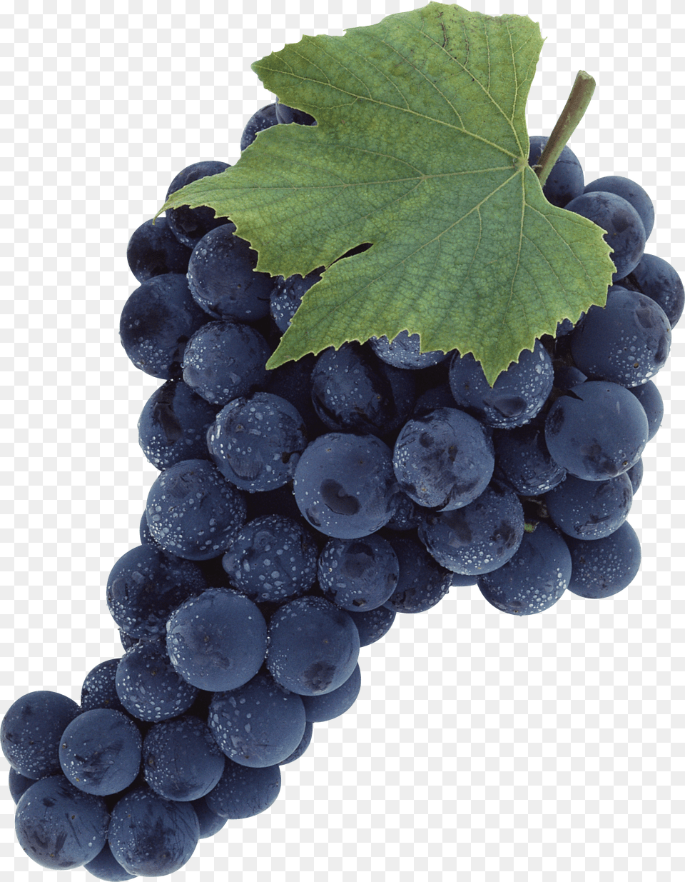 Grape Free Png Download