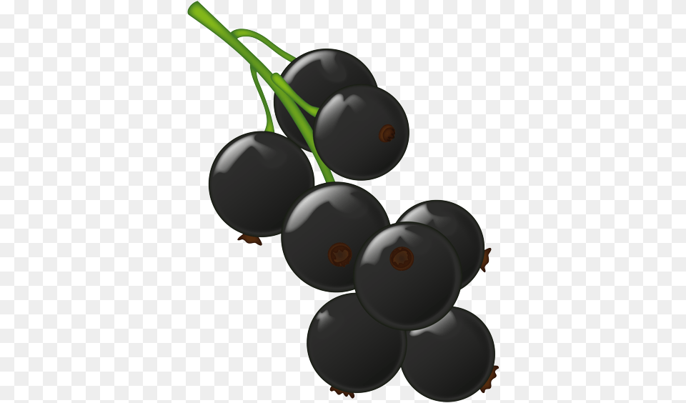 Grape, Berry, Blueberry, Food, Fruit Free Transparent Png