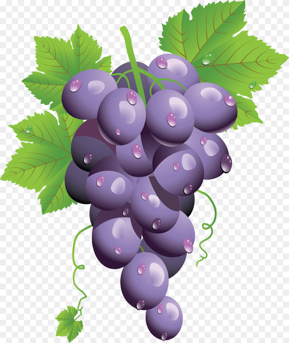 Grape, Food, Produce, Plant, Grapes Free Png