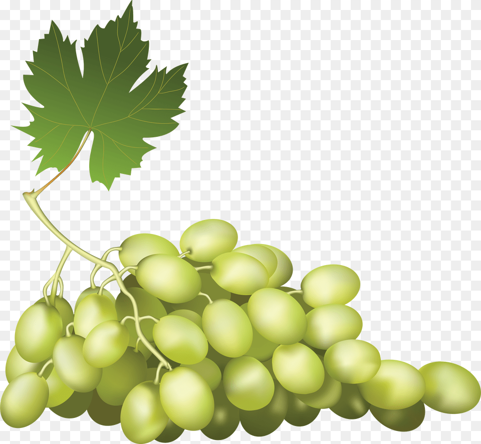 Grape, Food, Fruit, Grapes, Plant Free Png