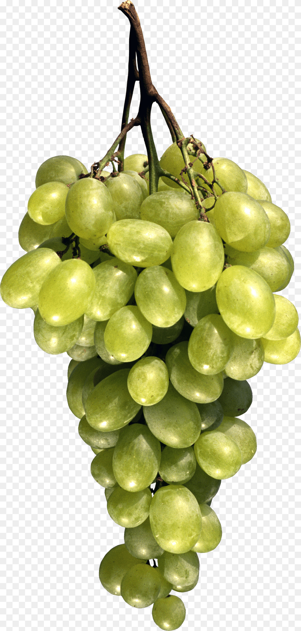 Grape Free Png