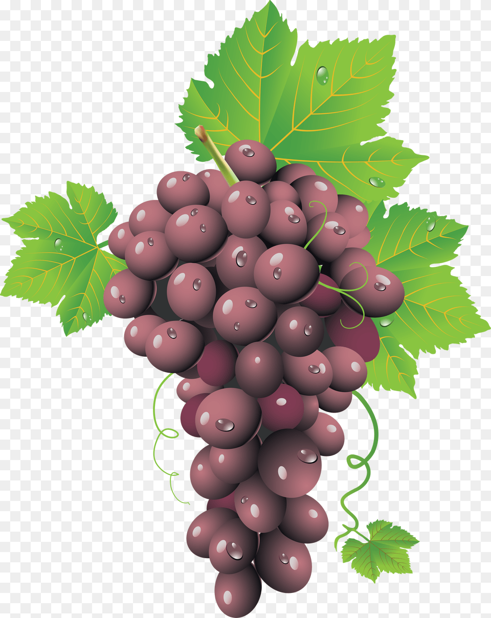 Grape, Food, Fruit, Grapes, Plant Free Transparent Png