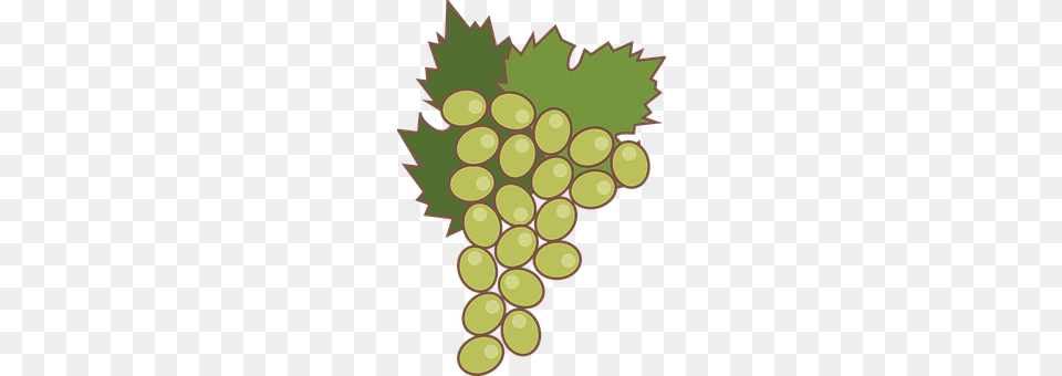 Grape Food, Fruit, Grapes, Plant Png Image