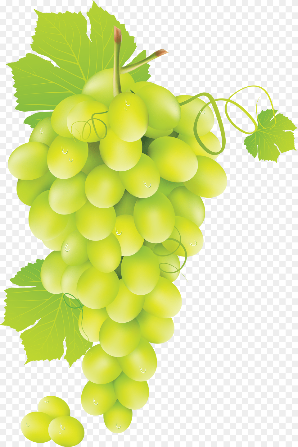 Grape, Food, Fruit, Grapes, Plant Free Png Download