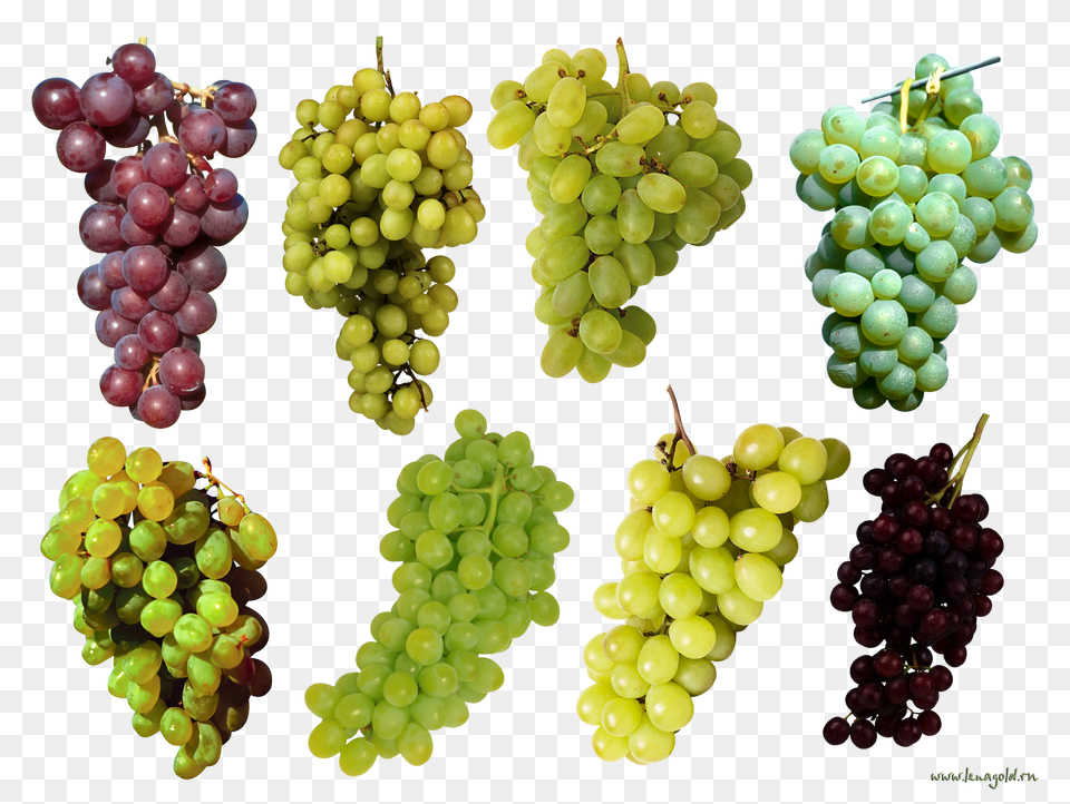 Grape, Food, Fruit, Grapes, Plant Free Png Download