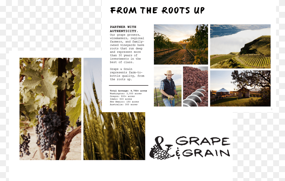 Grape Amp Grain Portable Network Graphics, Countryside, Outdoors, Nature, Person Png Image