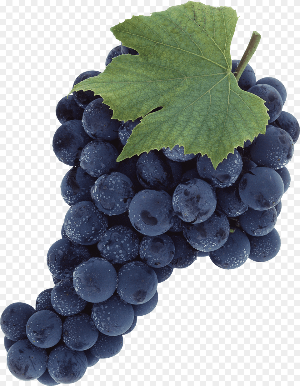 Grape Clip Art Black Grapes, Food, Fruit, Plant, Produce Free Png Download