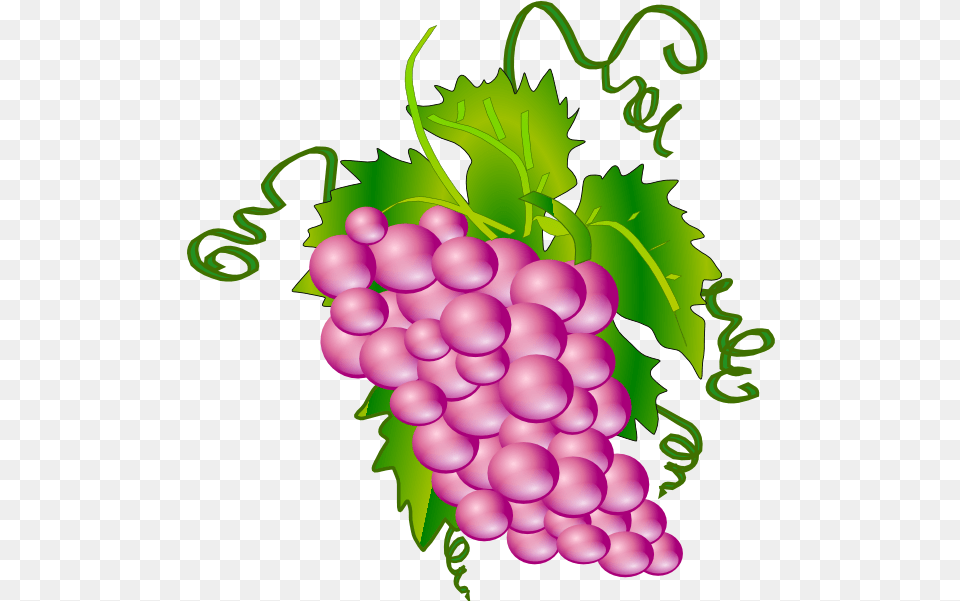 Grape Clip Arts For Web Pink Grapes Clipart, Food, Fruit, Plant, Produce Free Png