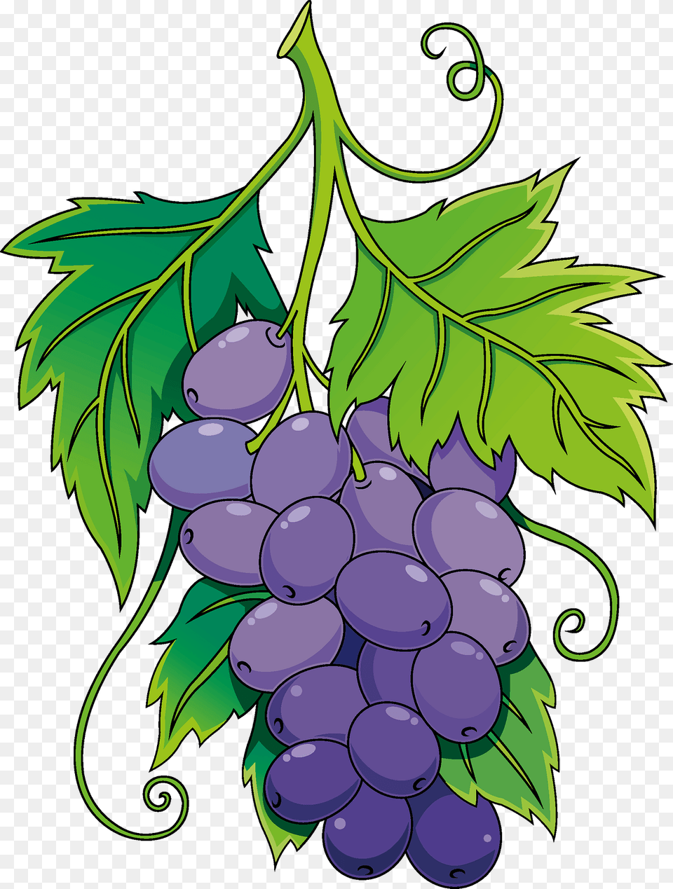 Grape Clipart, Food, Fruit, Grapes, Plant Png