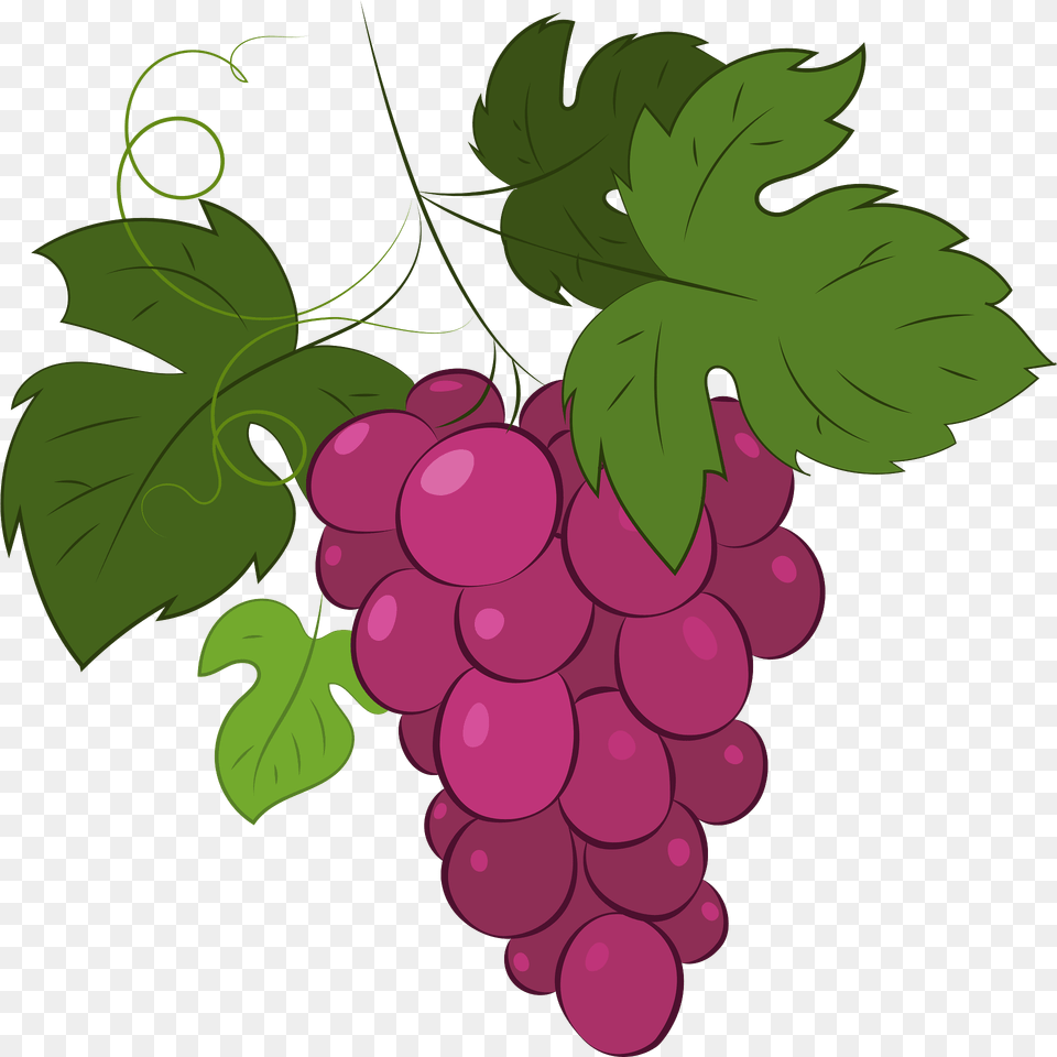 Grape Clipart, Food, Fruit, Grapes, Plant Free Png Download