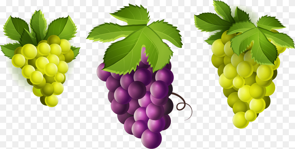 Grape Clipart Image Green Grapes Clip Art, Food, Fruit, Plant, Produce Png