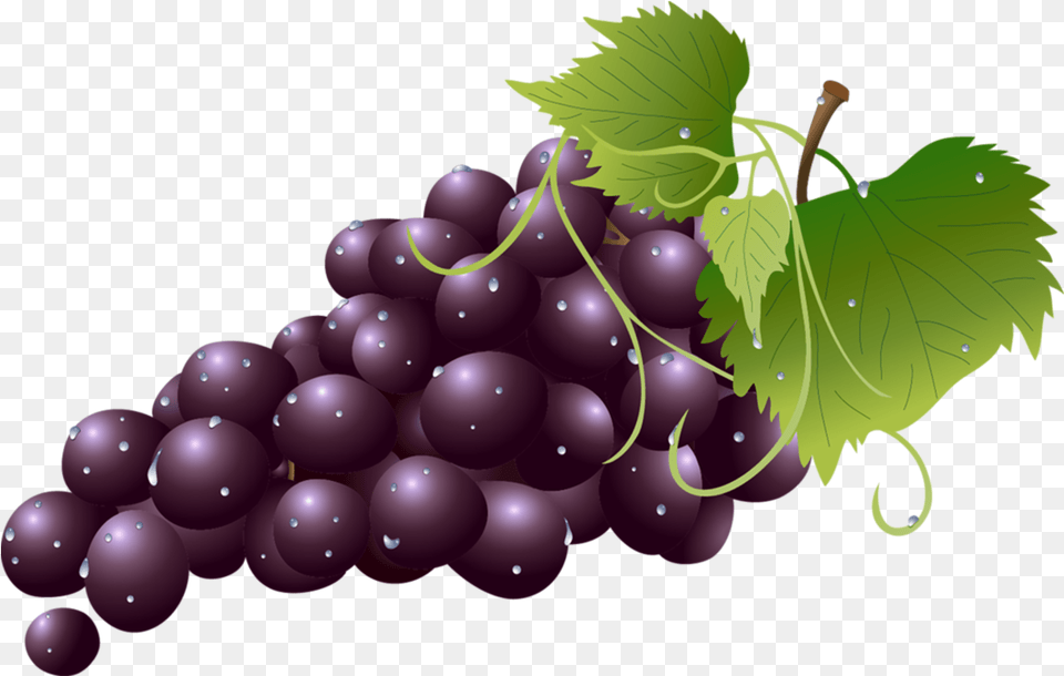 Grape Clipart Transparent Background Transparent Background Grapes Clipart, Food, Fruit, Plant, Produce Png