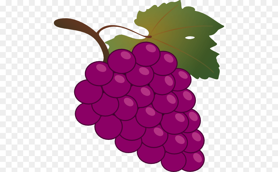 Grape Clipart Vector Clip Art Images, Food, Fruit, Grapes, Plant Png Image