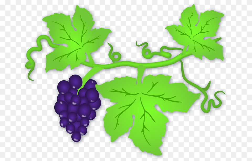 Grape Clipart Vine Clip Art, Food, Fruit, Grapes, Plant Free Transparent Png