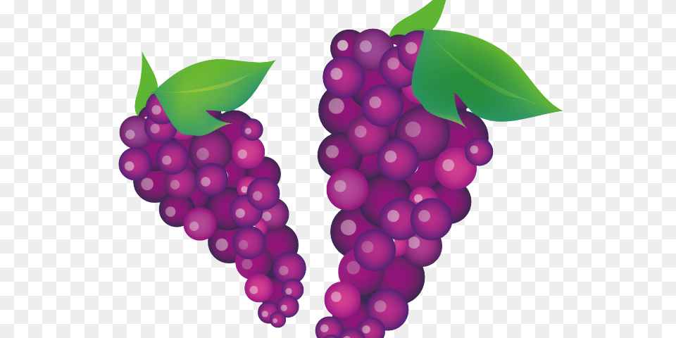 Grape Clipart Violet Grapevine Clipart, Food, Fruit, Grapes, Plant Png