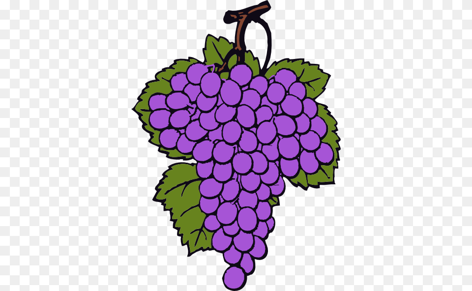 Grape Cluster Clip Arts Download, Food, Fruit, Grapes, Plant Free Png