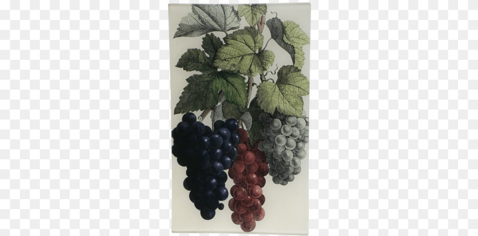 Grape Cluster Grape Cluster Grape, Food, Fruit, Grapes, Plant Png