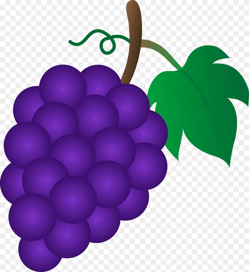 Grape Cluster Jesse Tree, Food, Fruit, Grapes, Plant Png Image