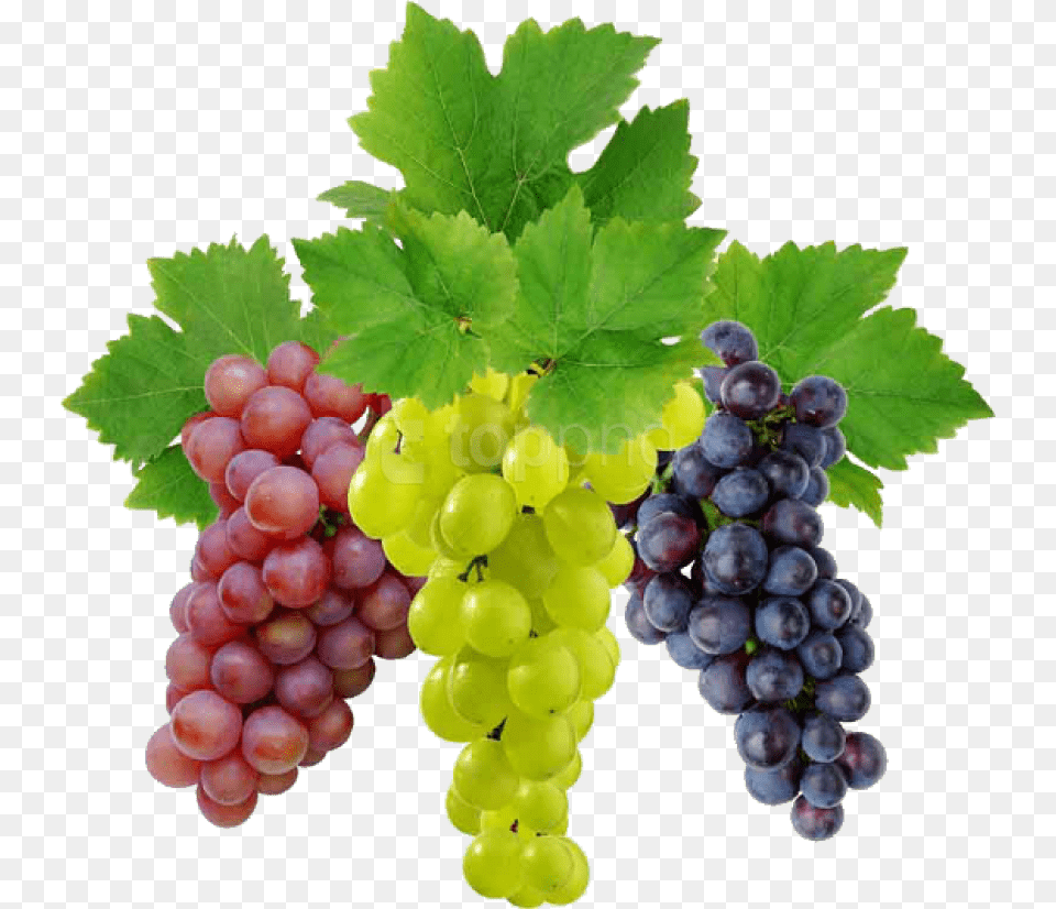 Grape Picture Grapes, Food, Fruit, Plant, Produce Free Png Download