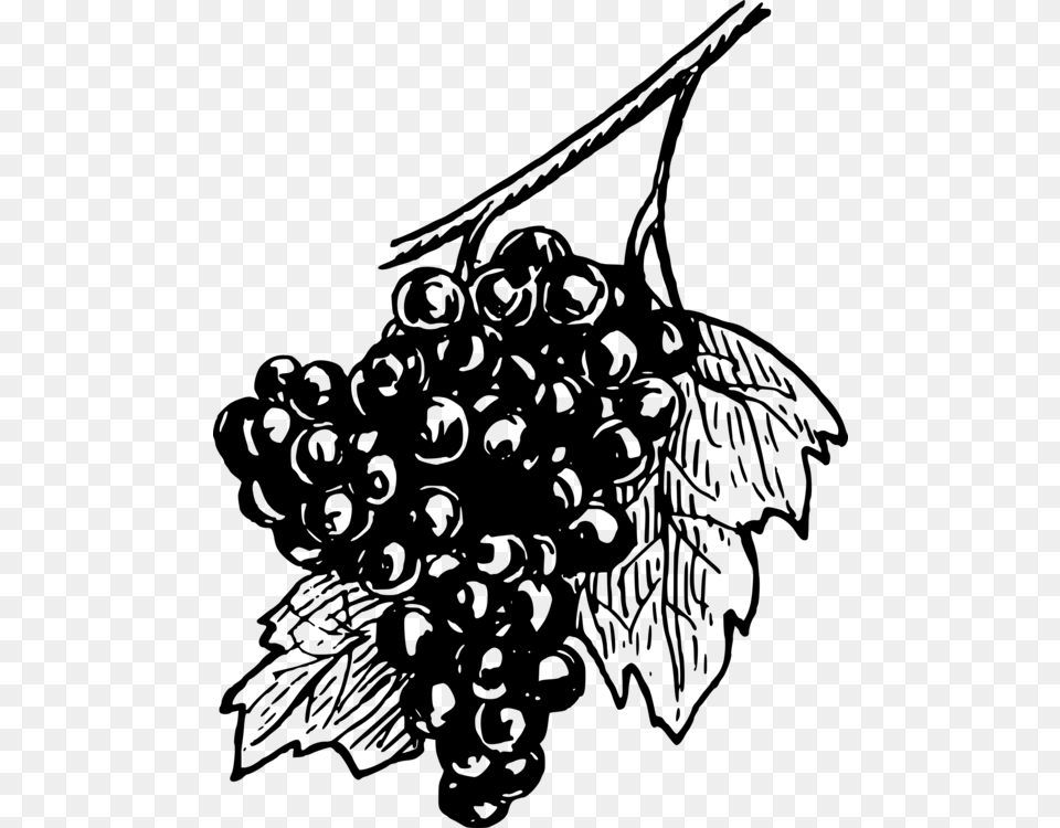 Grape Drawing Wine Black And White Open Grapes, Gray Free Png