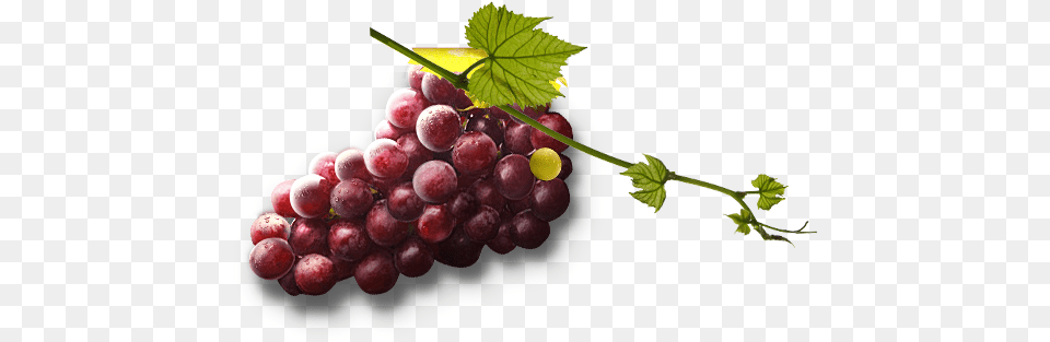 Grape Free Picture Download Grape, Food, Fruit, Grapes, Plant Png Image
