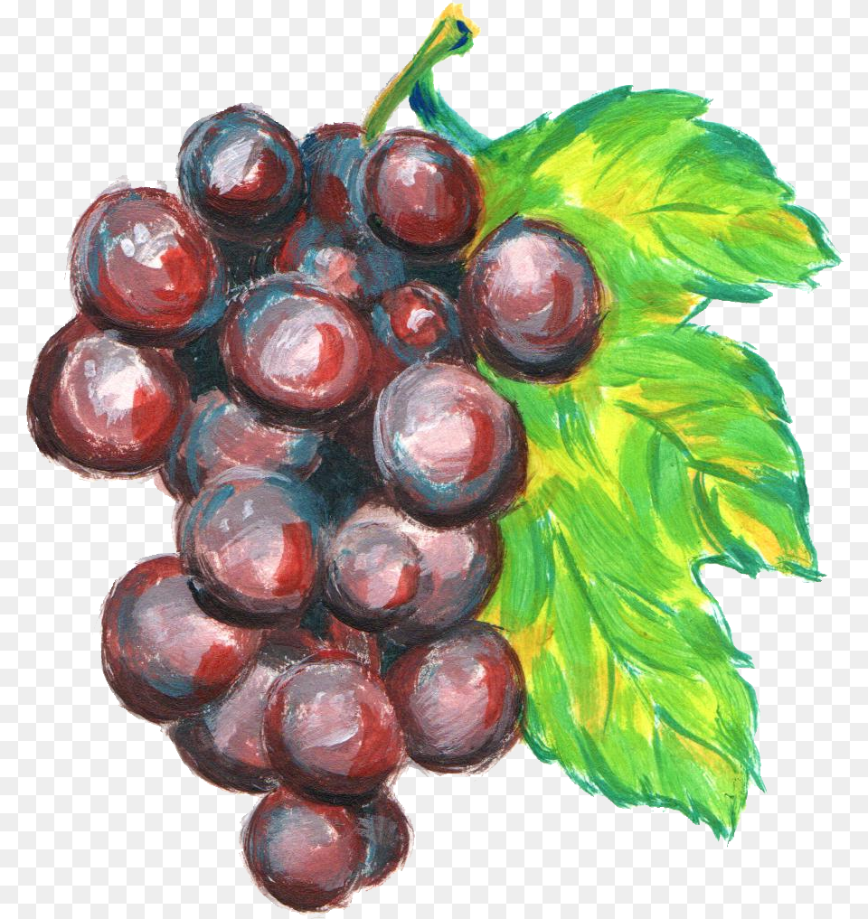 Grape Grape Watercolor Transparent, Food, Fruit, Grapes, Plant Free Png Download