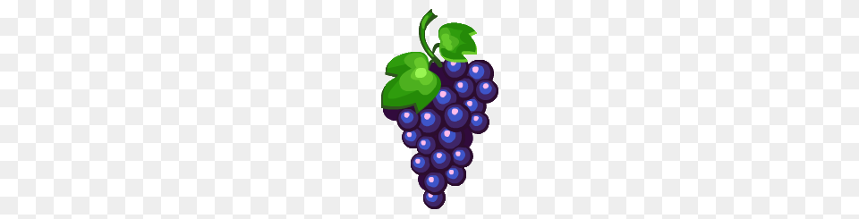 Grape Images, Food, Fruit, Grapes, Plant Free Transparent Png