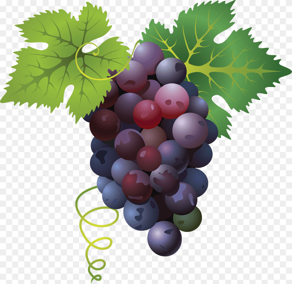 Grape Images Grapes, Food, Fruit, Plant, Produce Free Transparent Png