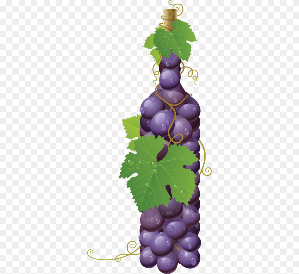 Grape Imagetitle Grapes In A Bottle, Food, Fruit, Plant, Produce Free Transparent Png