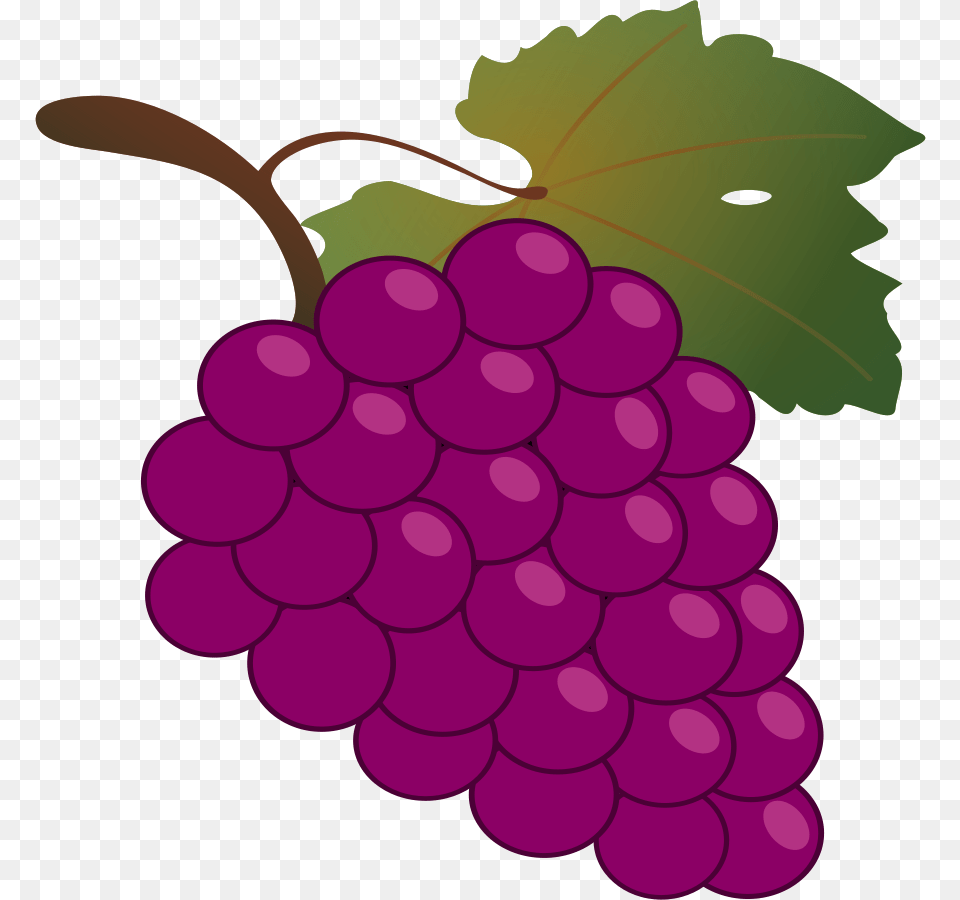 Grape Large Size, Food, Fruit, Grapes, Plant Png