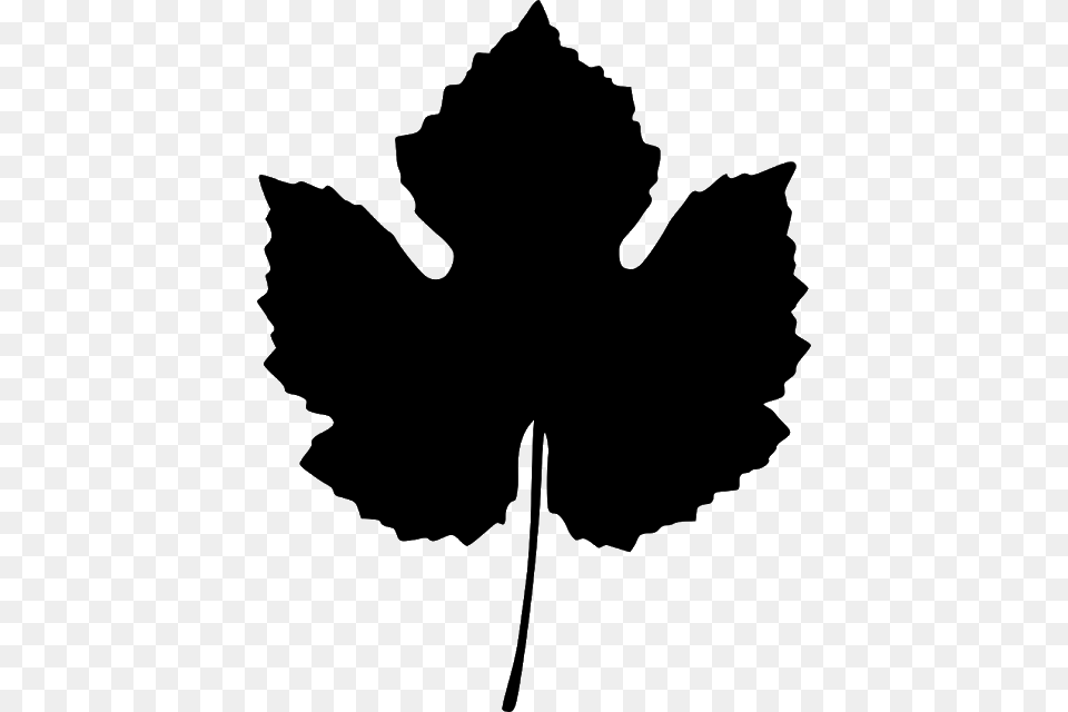 Grape Leaf, Gray Free Png