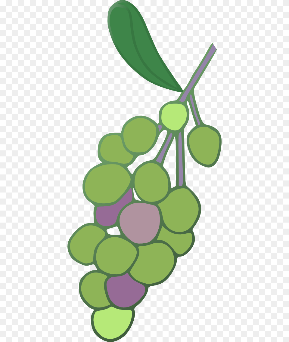 Grape Leaf Clip Art, Food, Fruit, Grapes, Plant Png Image