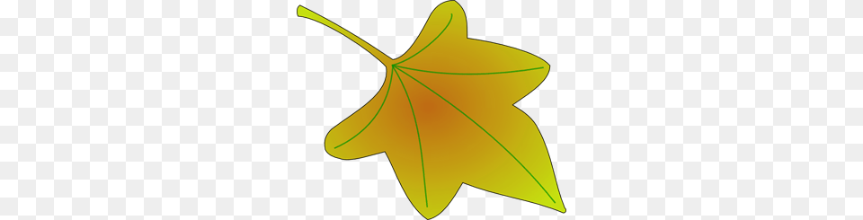 Grape Leaf Clip Art For Web, Maple Leaf, Plant, Tree, Bow Free Transparent Png