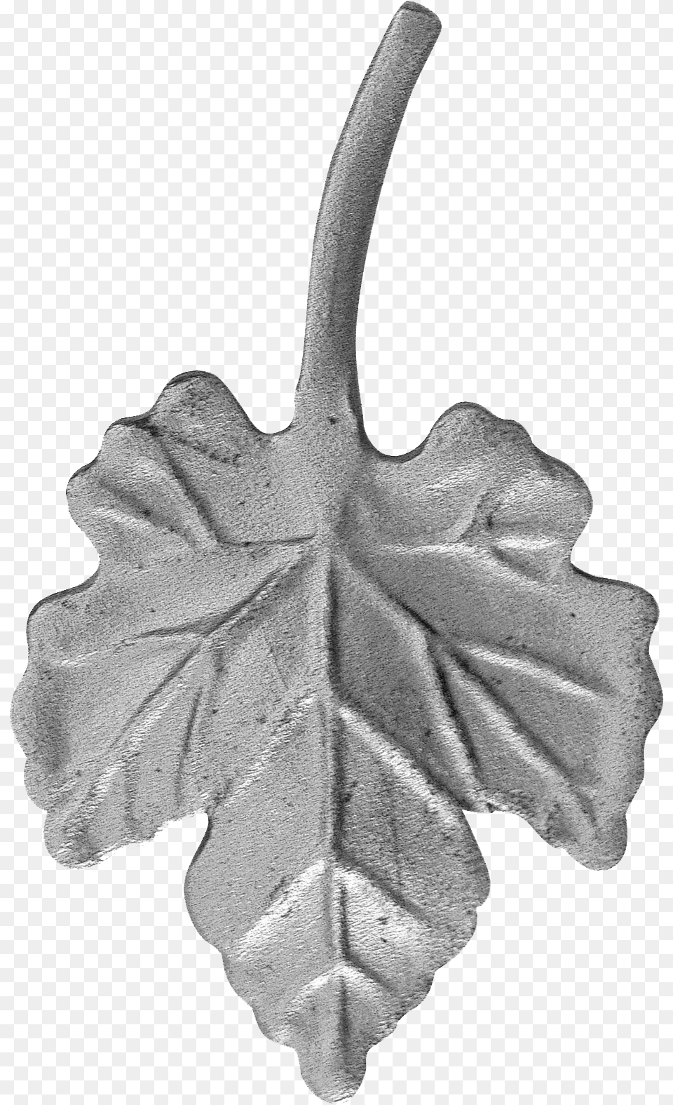 Grape Leaf Kovcsolt Vas Szllevl, Plant, Tree, Person, Outdoors Free Png