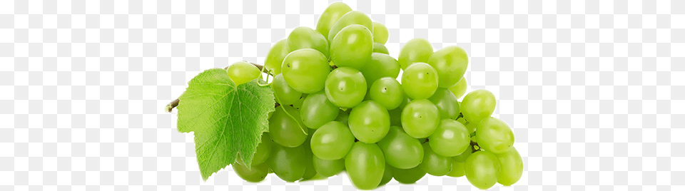 Grape Picture Thompson Grapes, Plant, Food, Fruit, Produce Free Png Download