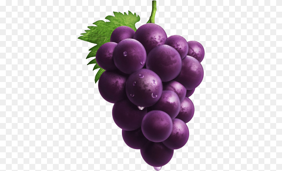 Grape Purple Grapes, Food, Fruit, Plant, Produce Free Transparent Png