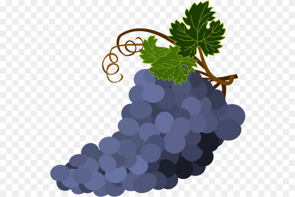 Grape Seed Extractplantgrape Grape Clipart On Background, Food, Fruit, Grapes, Plant Free Transparent Png