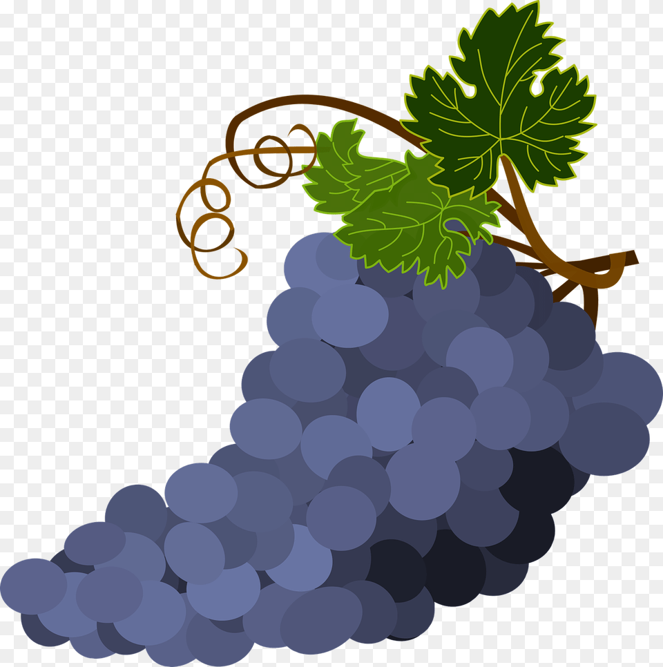 Grape Seed Extractplantgrape Grapes With Transparent Background, Food, Fruit, Plant, Produce Free Png