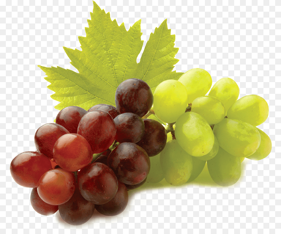 Grape Seed Extracts Gif, Food, Fruit, Grapes, Plant Png