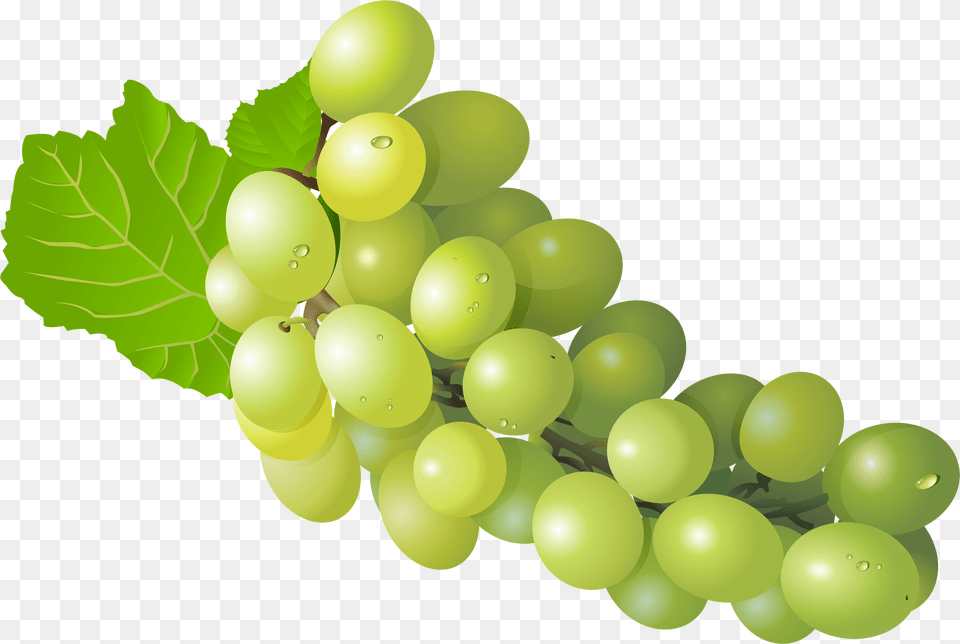 Grape Transparent Clipart White Grape, Food, Fruit, Grapes, Plant Png