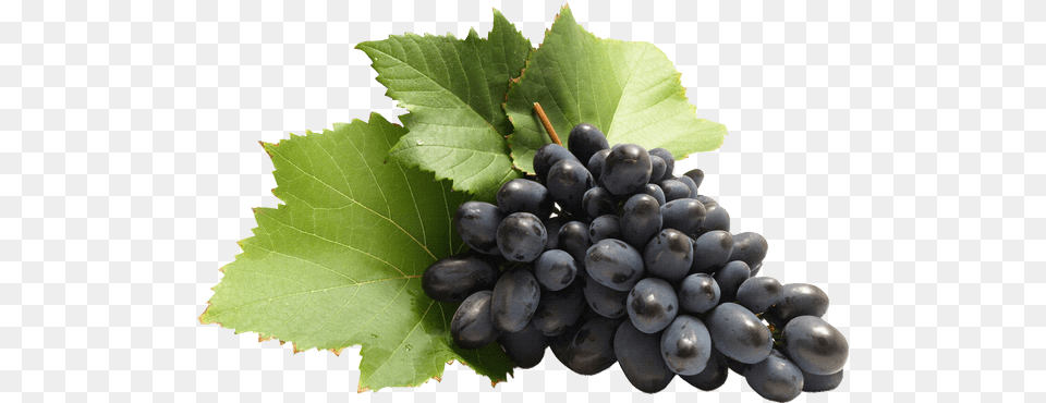 Grape Transparent De Raisin Fruits Images Hd, Food, Fruit, Grapes, Plant Free Png Download