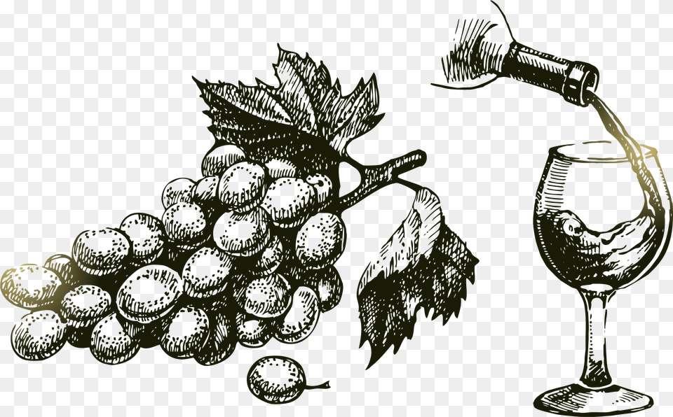 Grape Vine At Getdrawings Com For Uvas Y Vino Dibujo, Glass, Grapes, Produce, Food Free Png