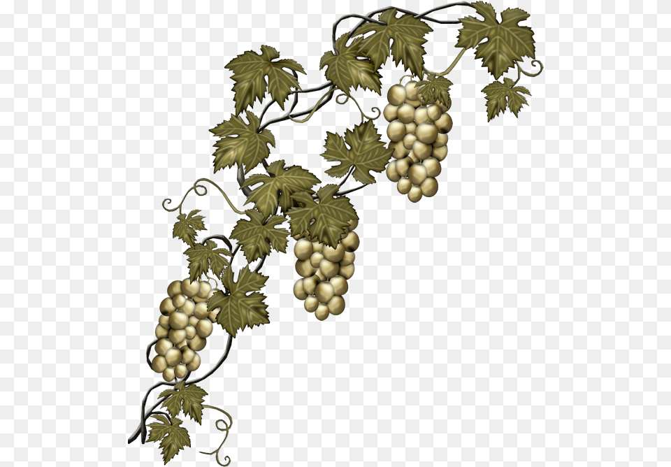 Grape Vine Border, Plant, Food, Fruit, Grapes Png Image