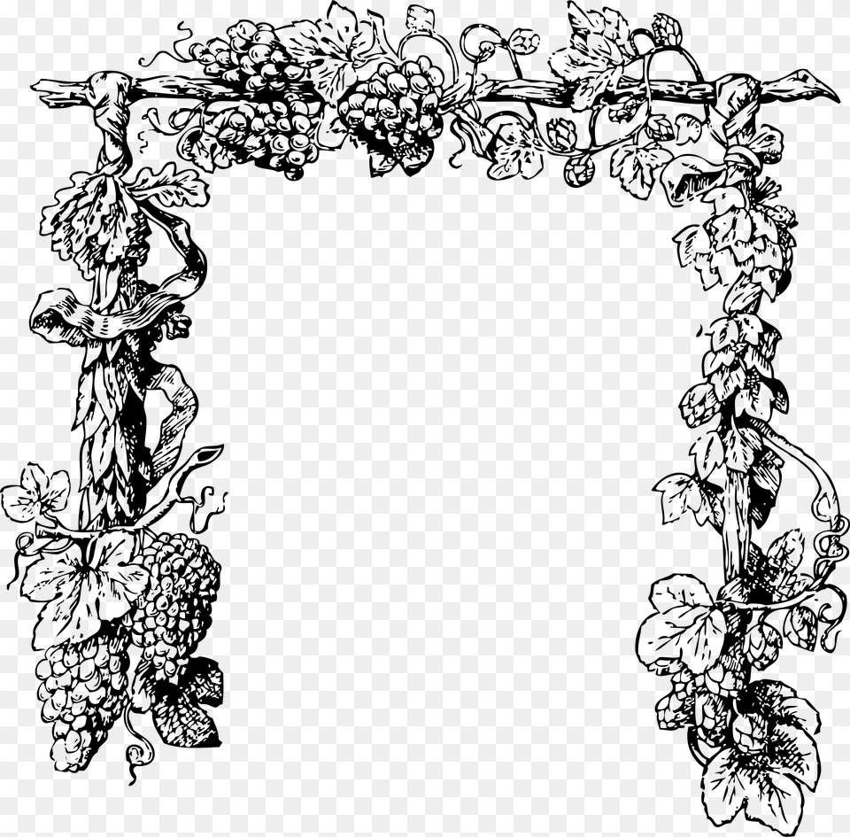 Grape Vine Clip Arts Clipart Grape Vine, Gray Png