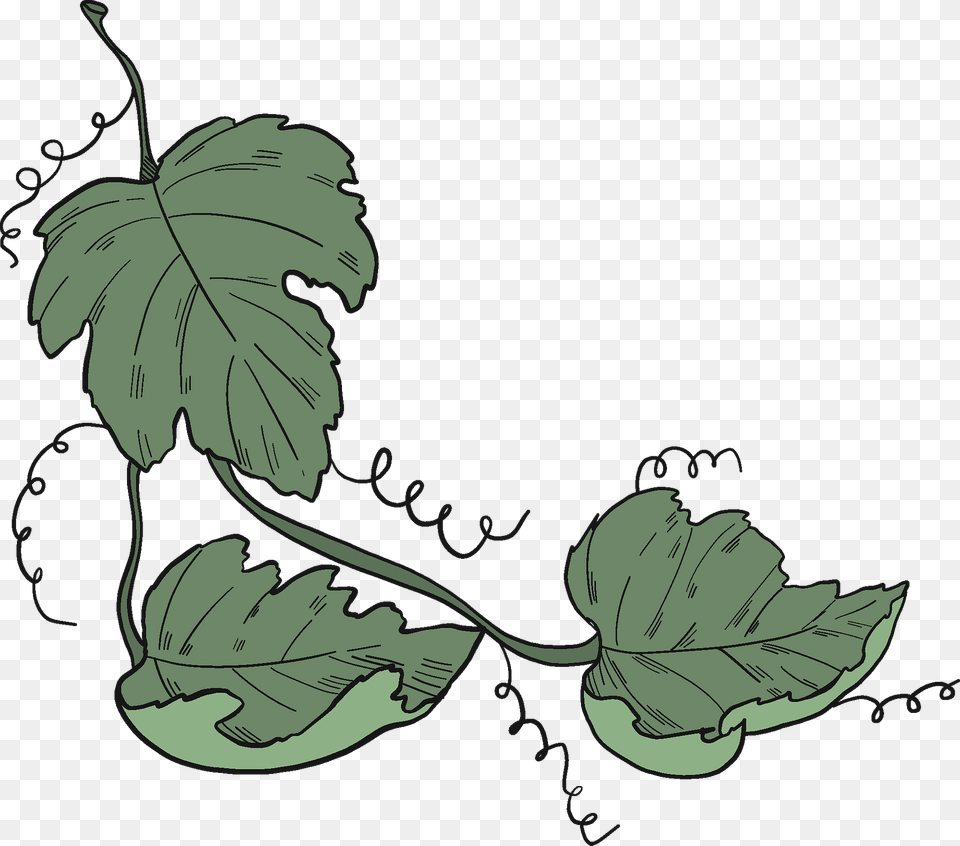 Grape Vine Clipart, Leaf, Plant, Art Free Png