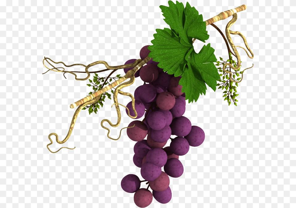 Grape Vine In Horizontal Alignment Portable Network Graphics, Food, Fruit, Grapes, Plant Free Png Download