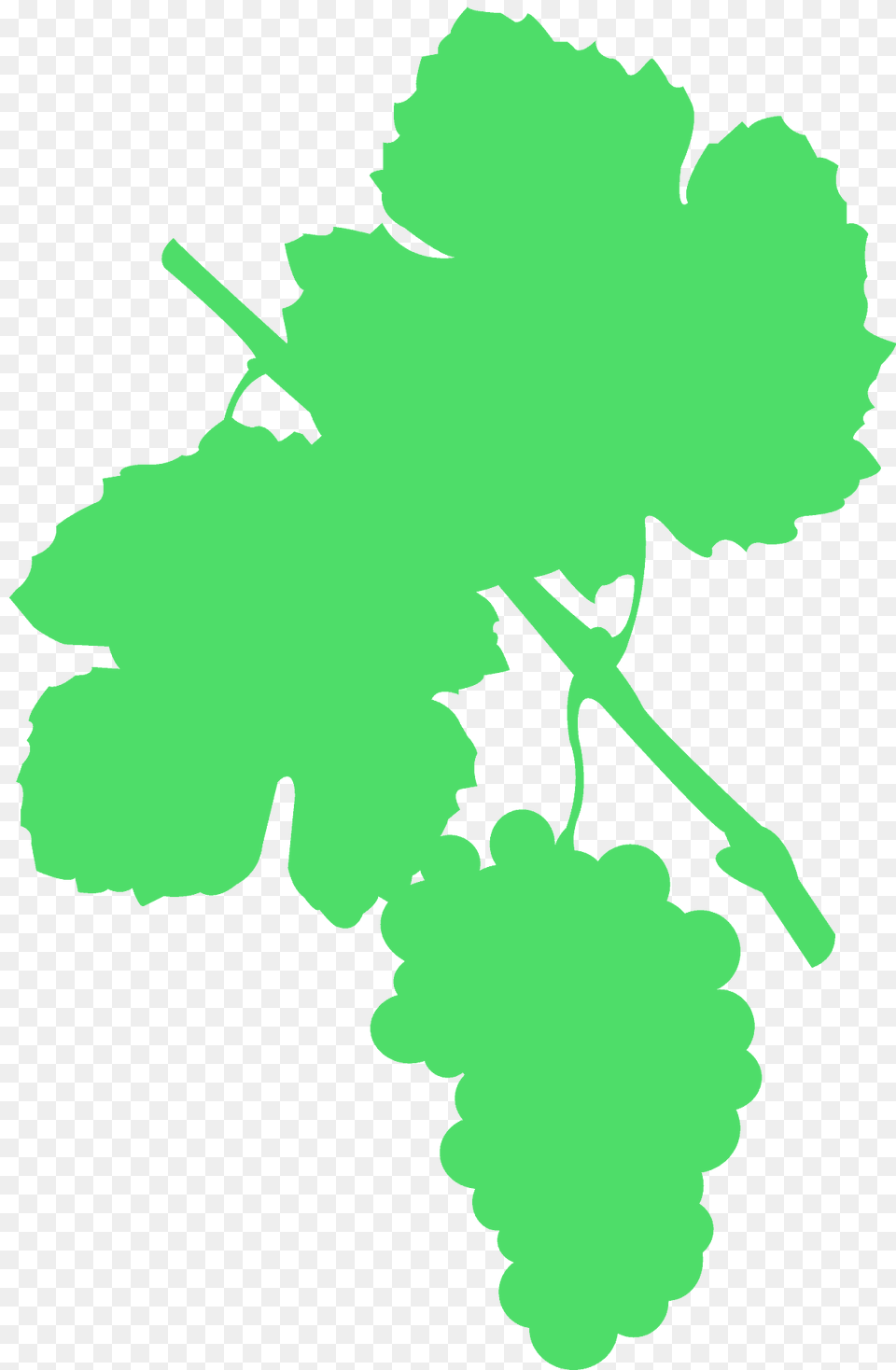 Grape Vine Silhouette, Leaf, Plant, Food, Fruit Png Image