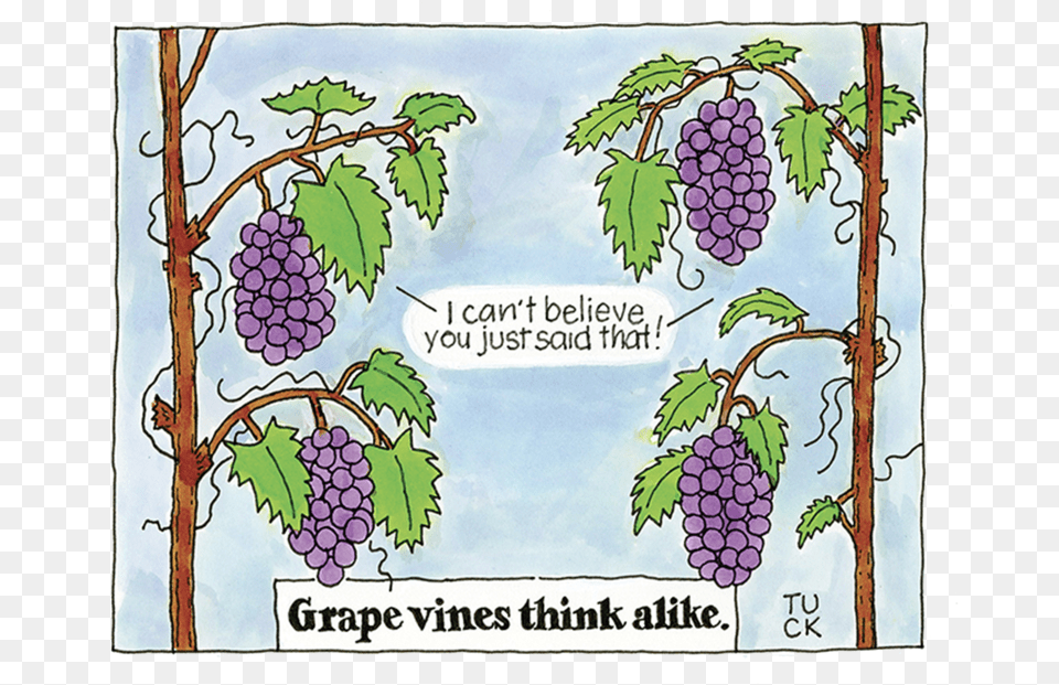 Grape Vines, Food, Fruit, Grapes, Plant Free Transparent Png